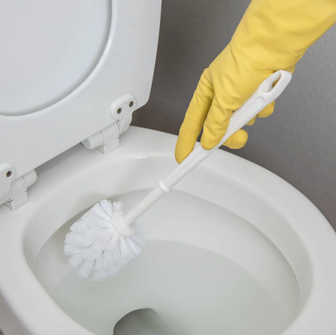 TOILET BOWL BRUSH