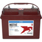 Trojan 27TMX 12V 105Ah Deep Cycle / Flooded Lead Acid Battery (Pick Up Only)